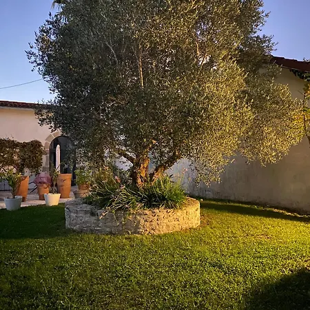 La Bastide De Entre Ocean Et Montagnes * Guiche